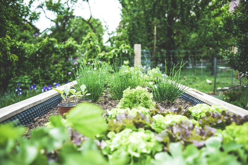 Gerealiseerde tuin 6